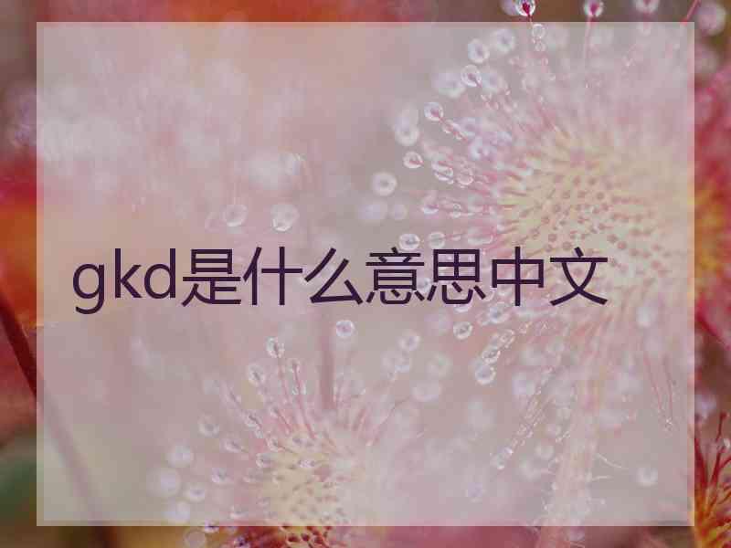 gkd是什么意思中文