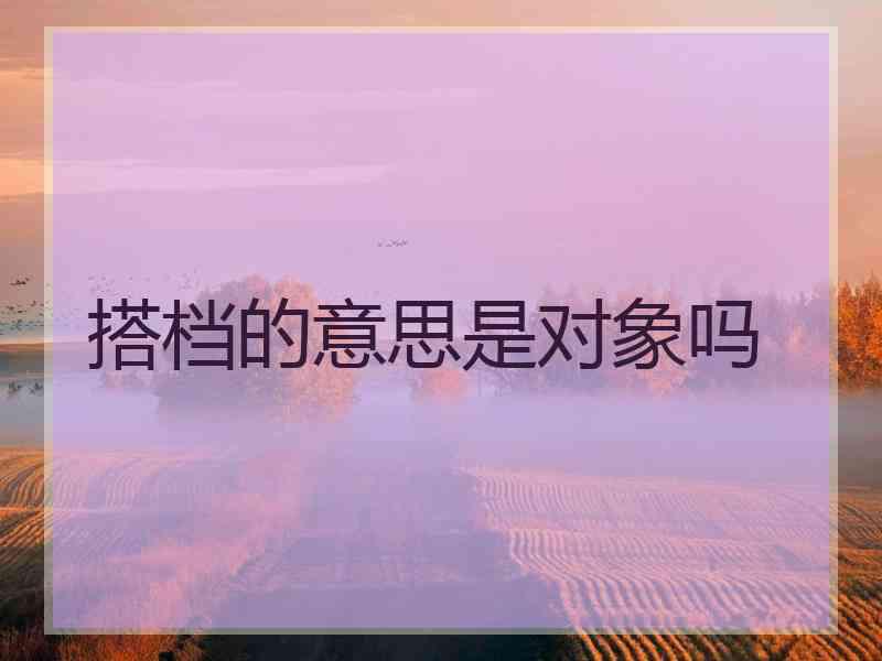 搭档的意思是对象吗