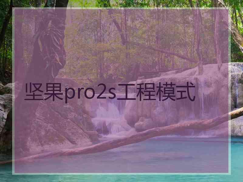 坚果pro2s工程模式