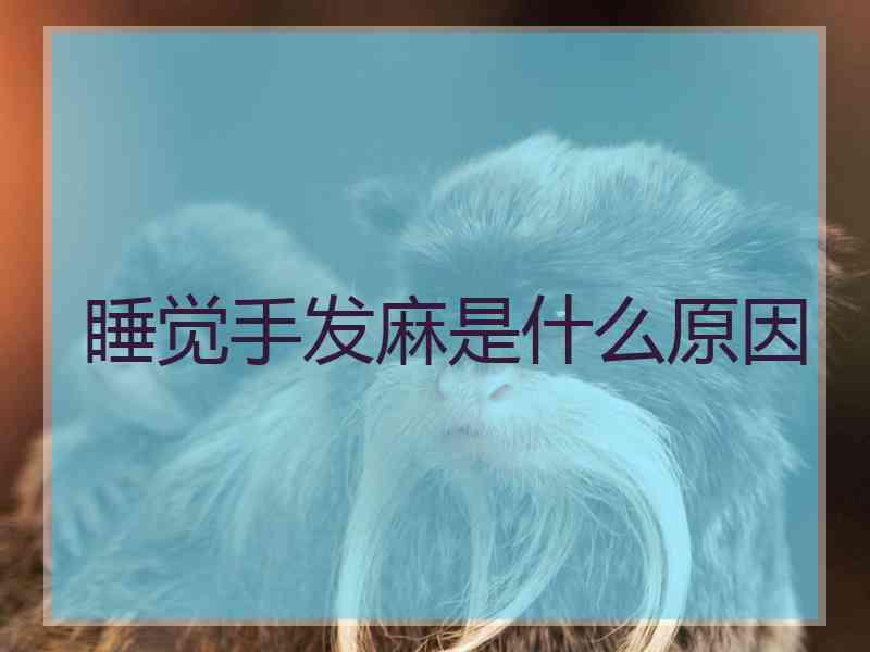 睡觉手发麻是什么原因