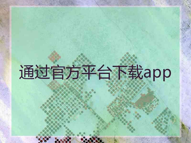 通过官方平台下载app