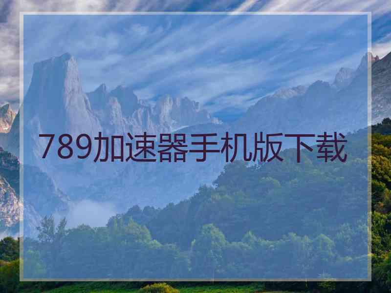 789加速器手机版下载