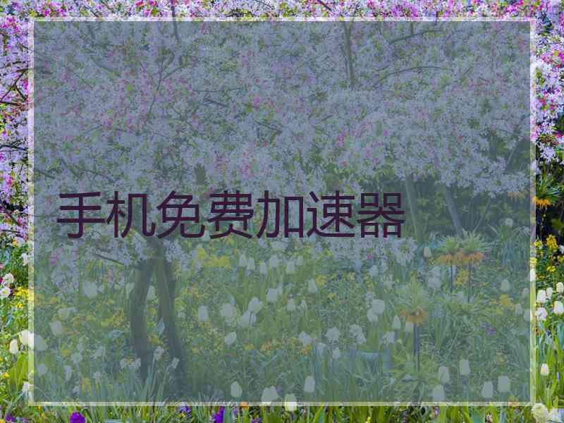 手机免费加速器