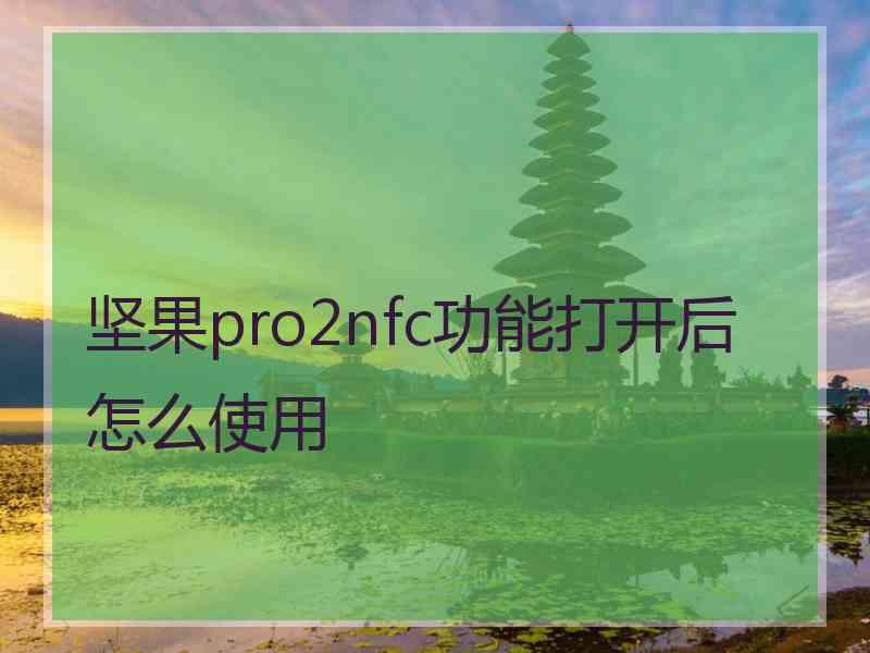 坚果pro2nfc功能打开后怎么使用