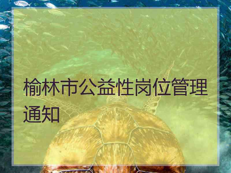 榆林市公益性岗位管理通知