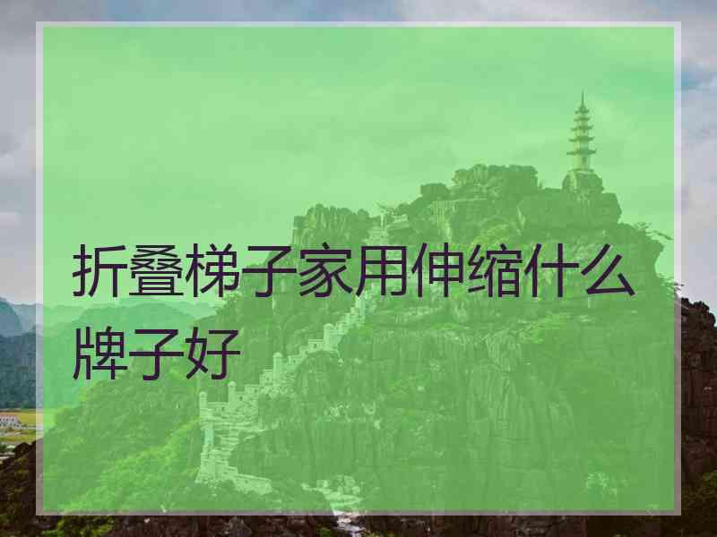 折叠梯子家用伸缩什么牌子好
