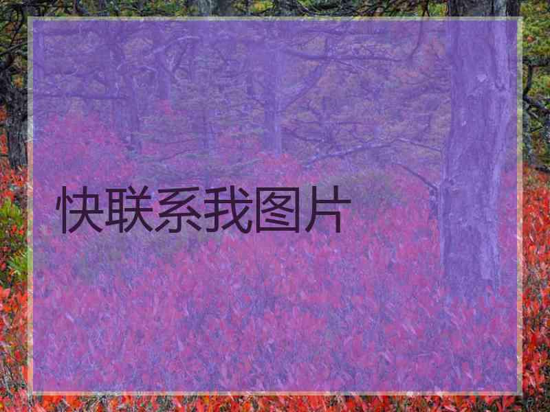 快联系我图片