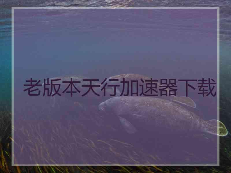 老版本天行加速器下载
