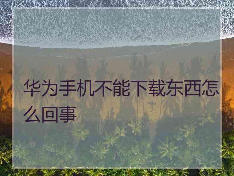 华为手机不能下载东西怎么回事