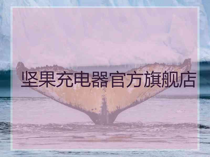 坚果充电器官方旗舰店