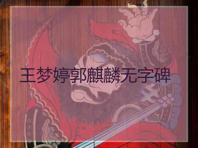 王梦婷郭麒麟无字碑