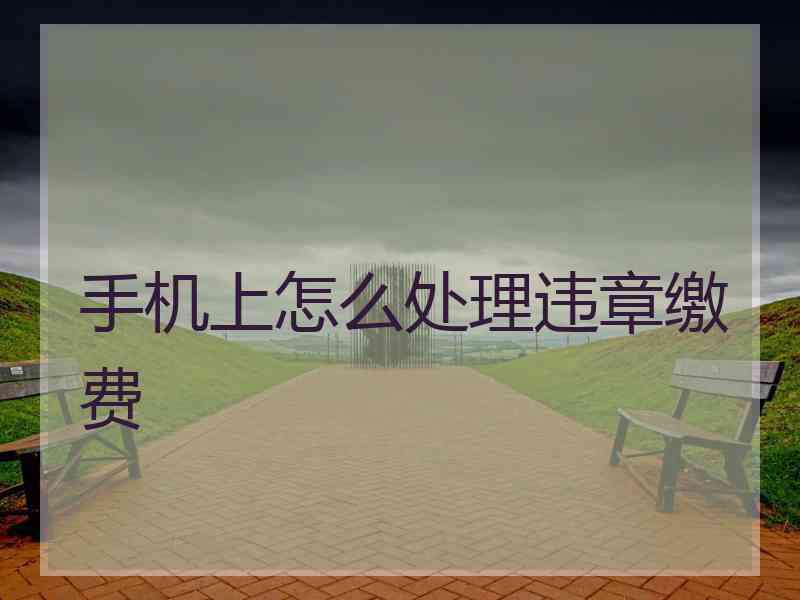 手机上怎么处理违章缴费