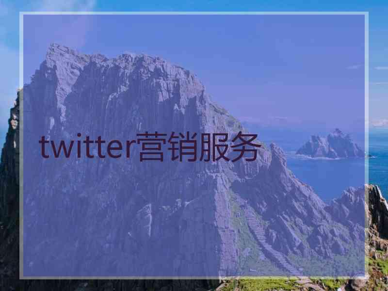 twitter营销服务