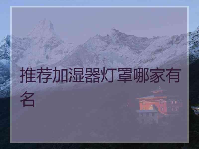 推荐加湿器灯罩哪家有名