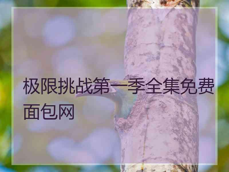 极限挑战第一季全集免费面包网