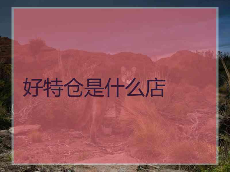 好特仓是什么店