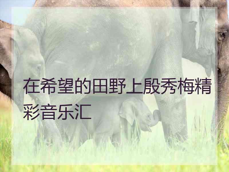 在希望的田野上殷秀梅精彩音乐汇