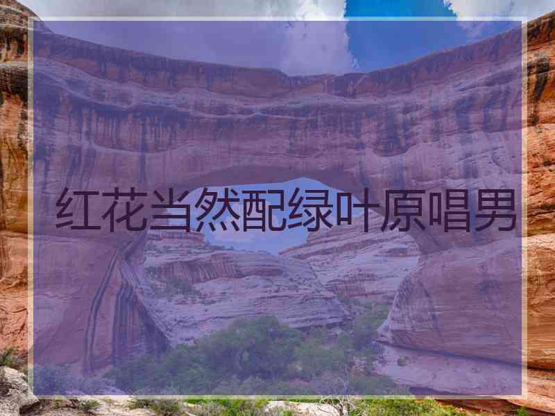 红花当然配绿叶原唱男
