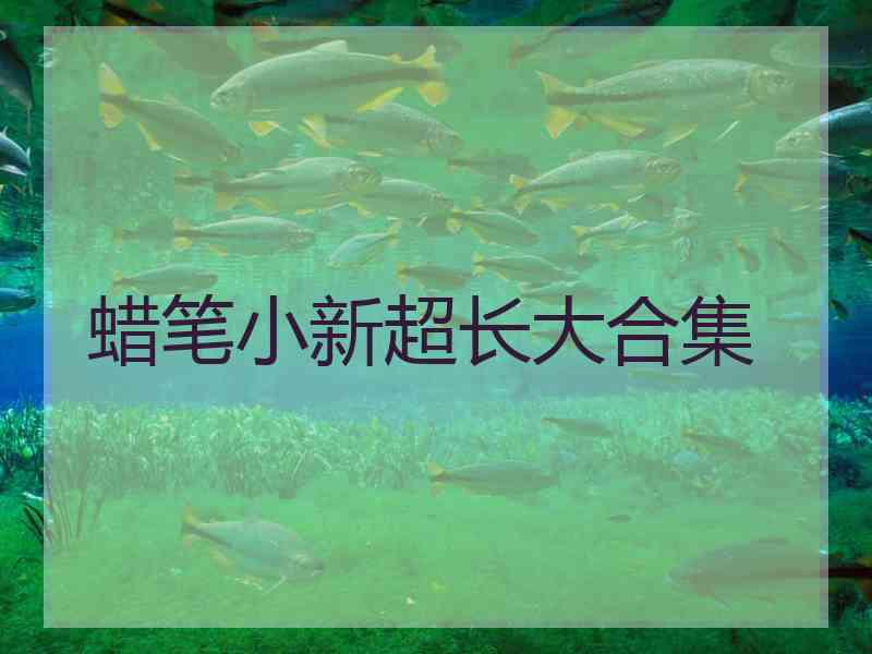 蜡笔小新超长大合集
