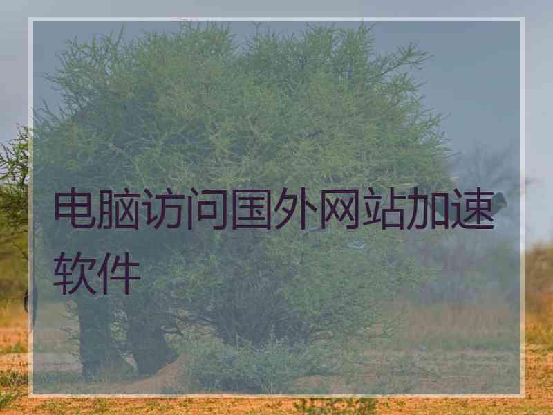 电脑访问国外网站加速软件