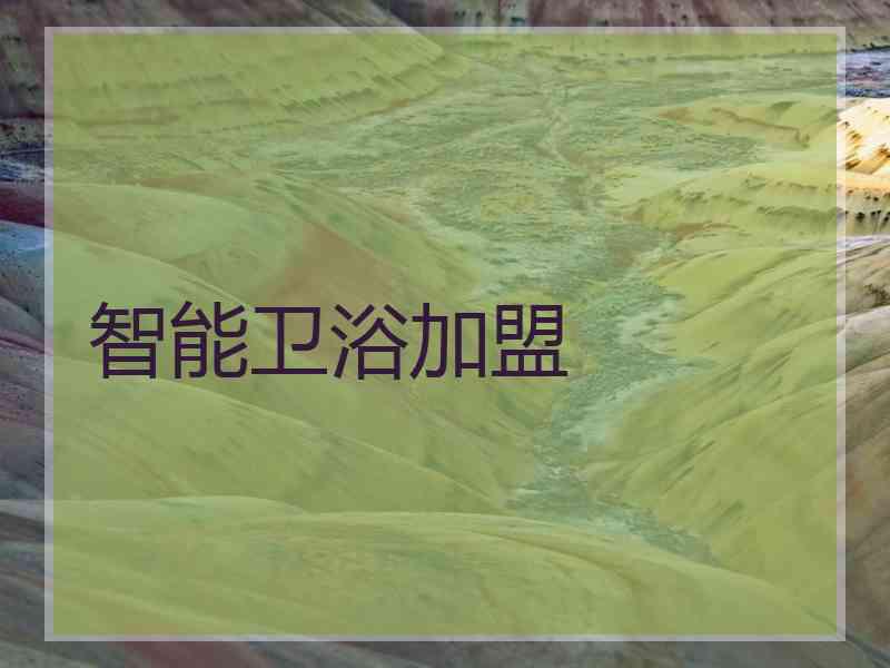 智能卫浴加盟