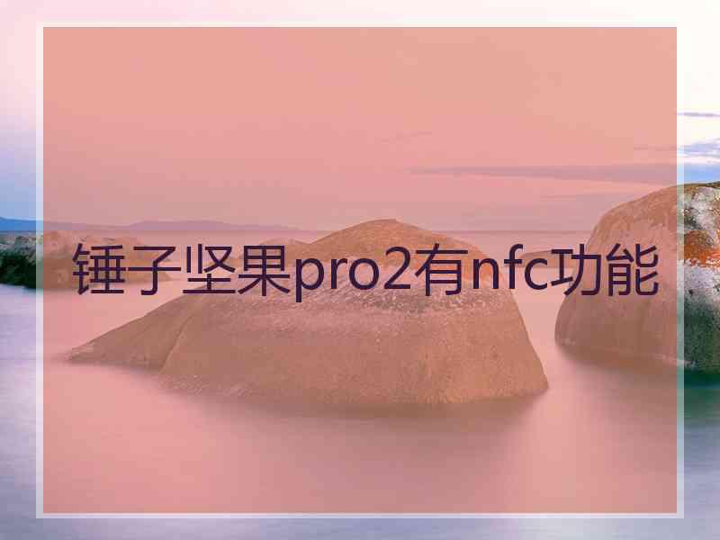 锤子坚果pro2有nfc功能