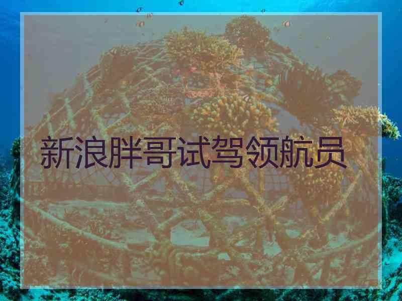 新浪胖哥试驾领航员