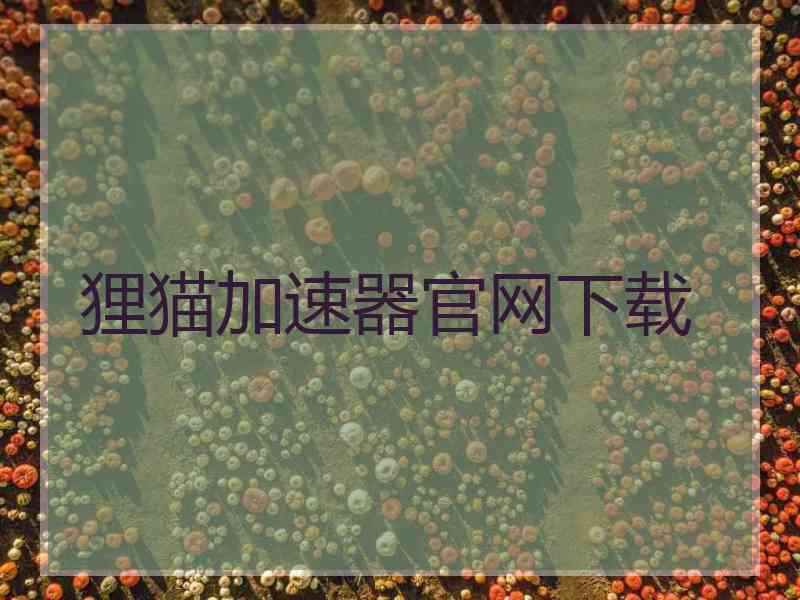 狸猫加速器官网下载