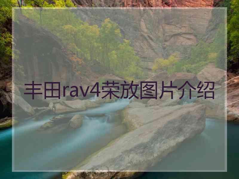 丰田rav4荣放图片介绍