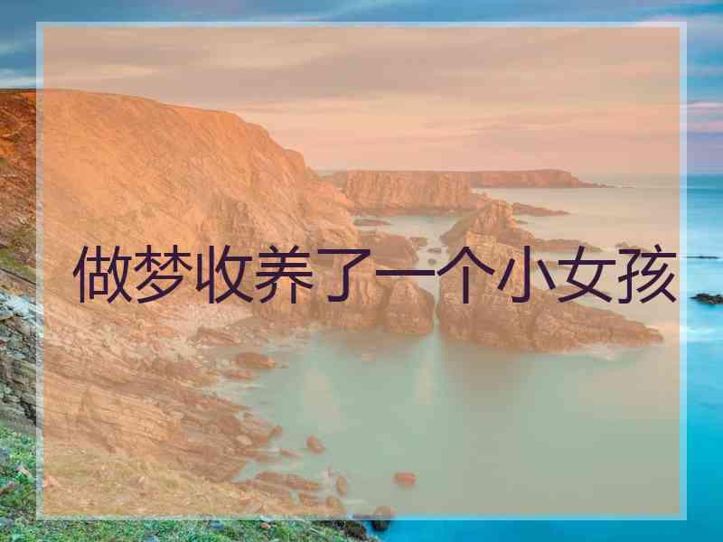 做梦收养了一个小女孩