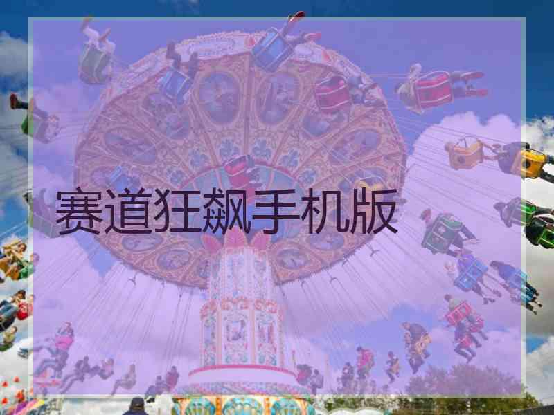 赛道狂飙手机版