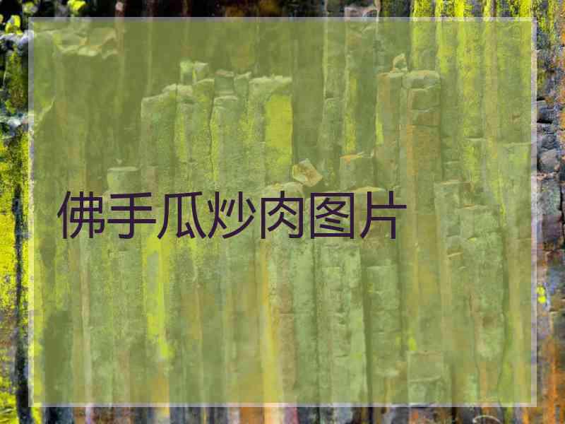 佛手瓜炒肉图片