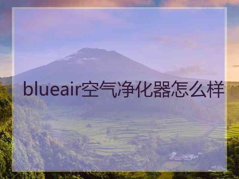 blueair空气净化器怎么样