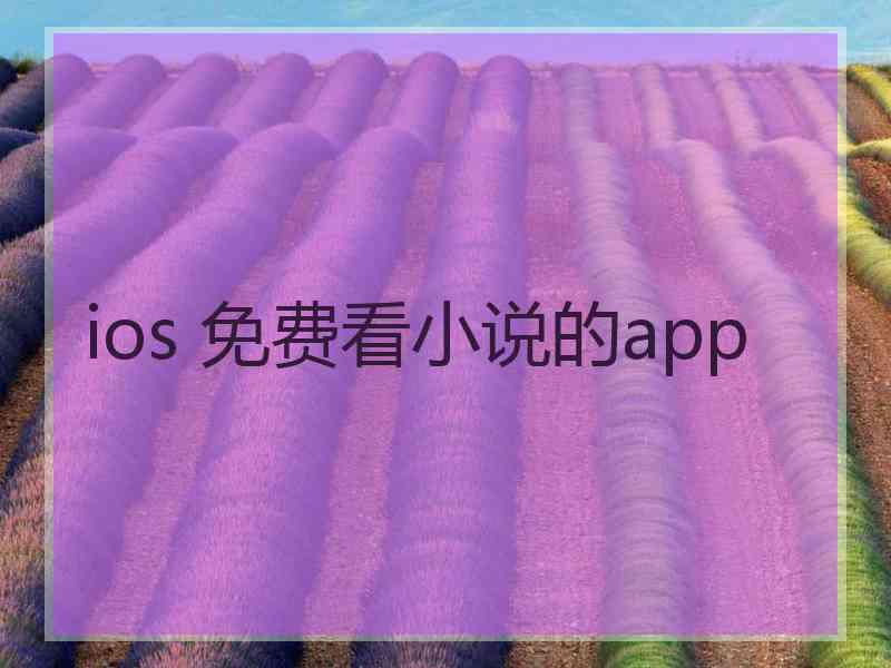 ios 免费看小说的app