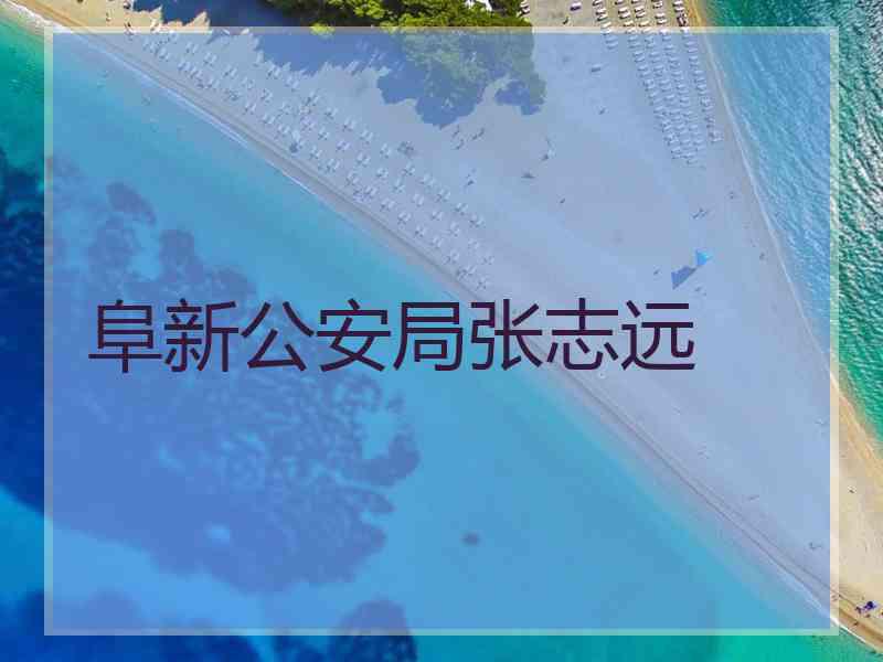 阜新公安局张志远