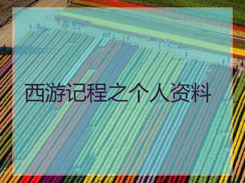 西游记程之个人资料