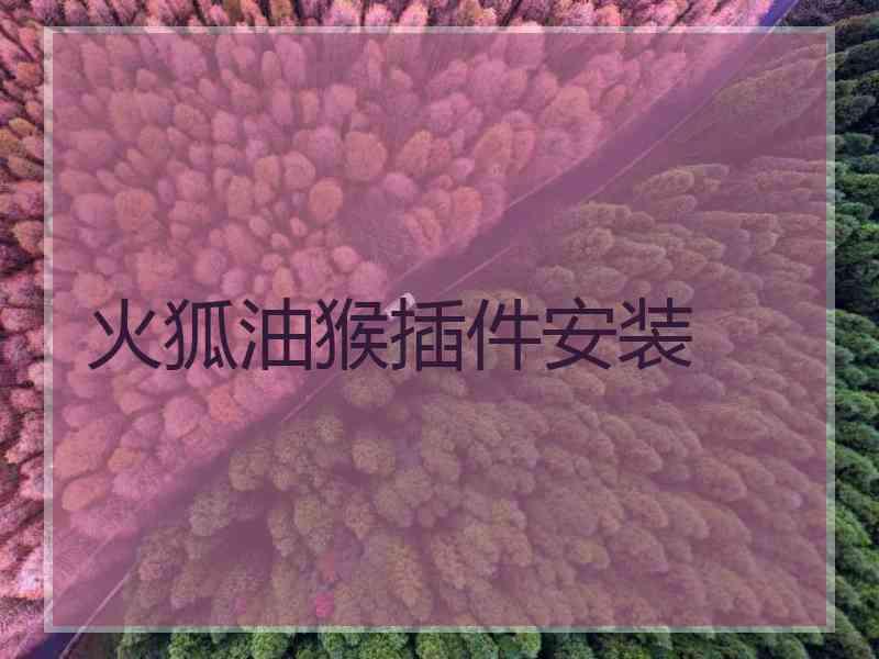 火狐油猴插件安装