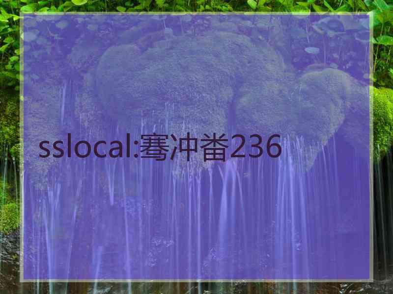 sslocal:骞冲畨236