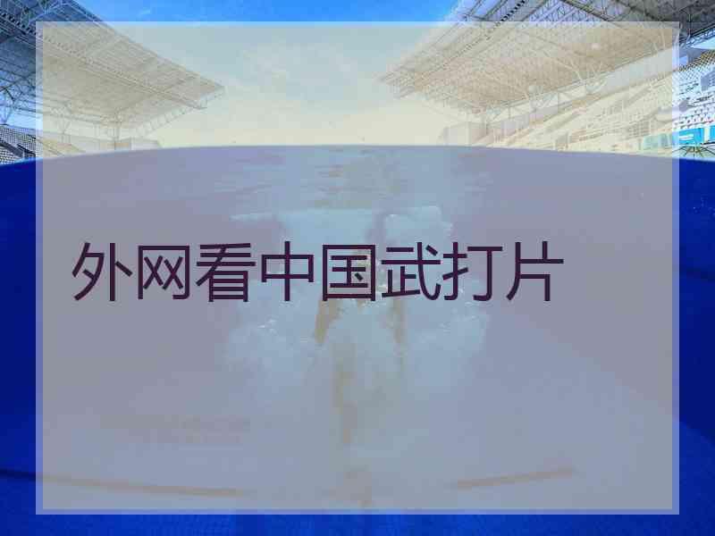 外网看中国武打片