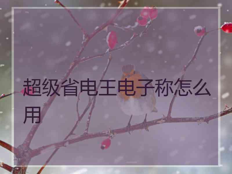 超级省电王电子称怎么用