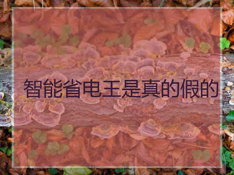 智能省电王是真的假的