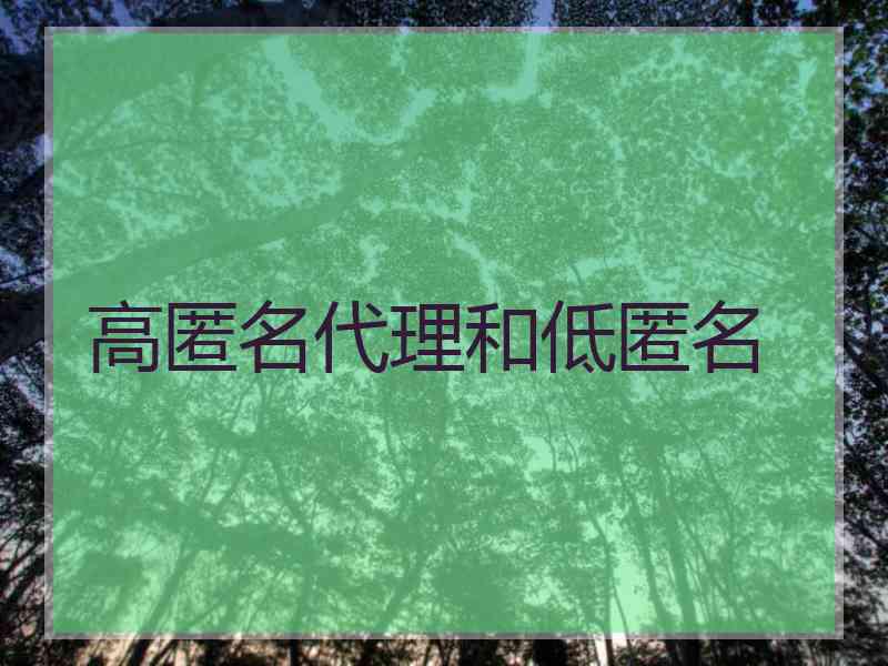 高匿名代理和低匿名