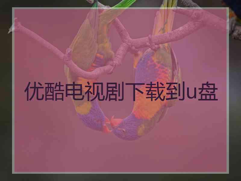 优酷电视剧下载到u盘