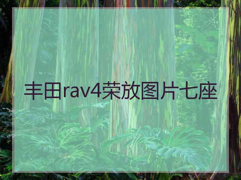 丰田rav4荣放图片七座