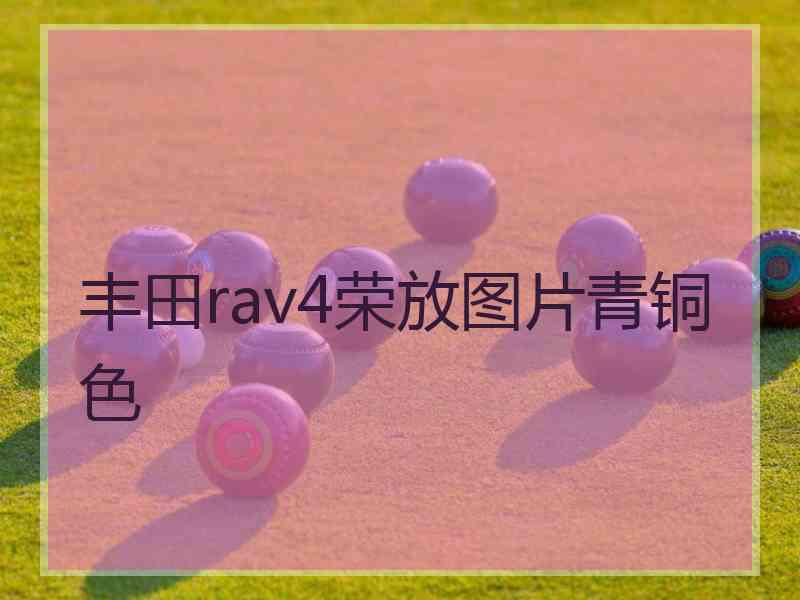 丰田rav4荣放图片青铜色
