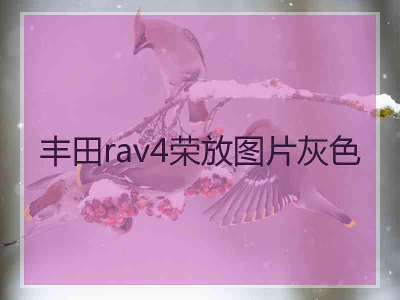 丰田rav4荣放图片灰色