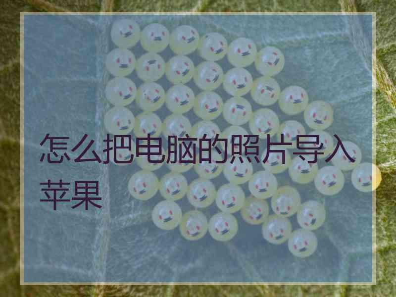 怎么把电脑的照片导入苹果