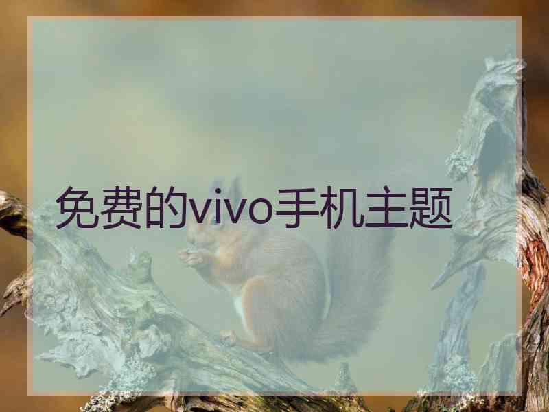 免费的vivo手机主题
