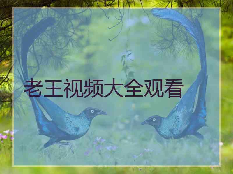 老王视频大全观看