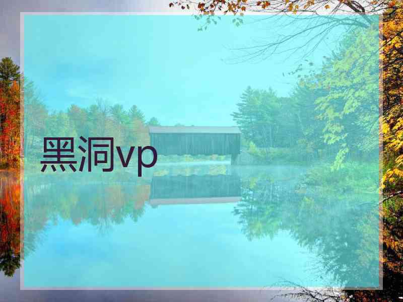 黑洞vp